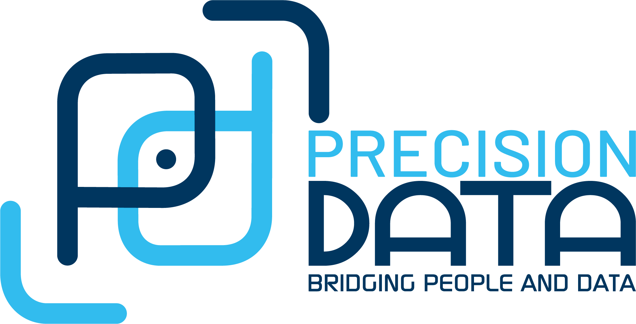 Precision Data Logo